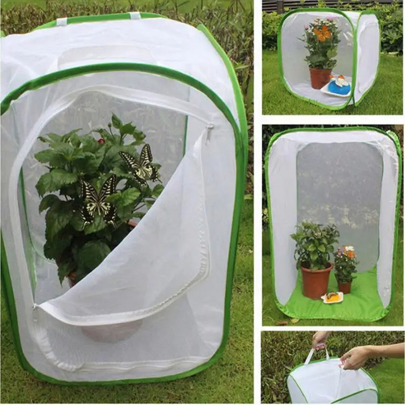 Viventra Folding Insect Habitat | Breeding & Observation Net | Stainless Steel Frame | For Butterflies, Crickets & Silkworms