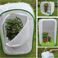 Viventra Folding Insect Habitat | Breeding & Observation Net | Stainless Steel Frame | For Butterflies, Crickets & Silkworms