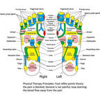Multi-Point Reflexology Stress Relief Foot Massage Mat