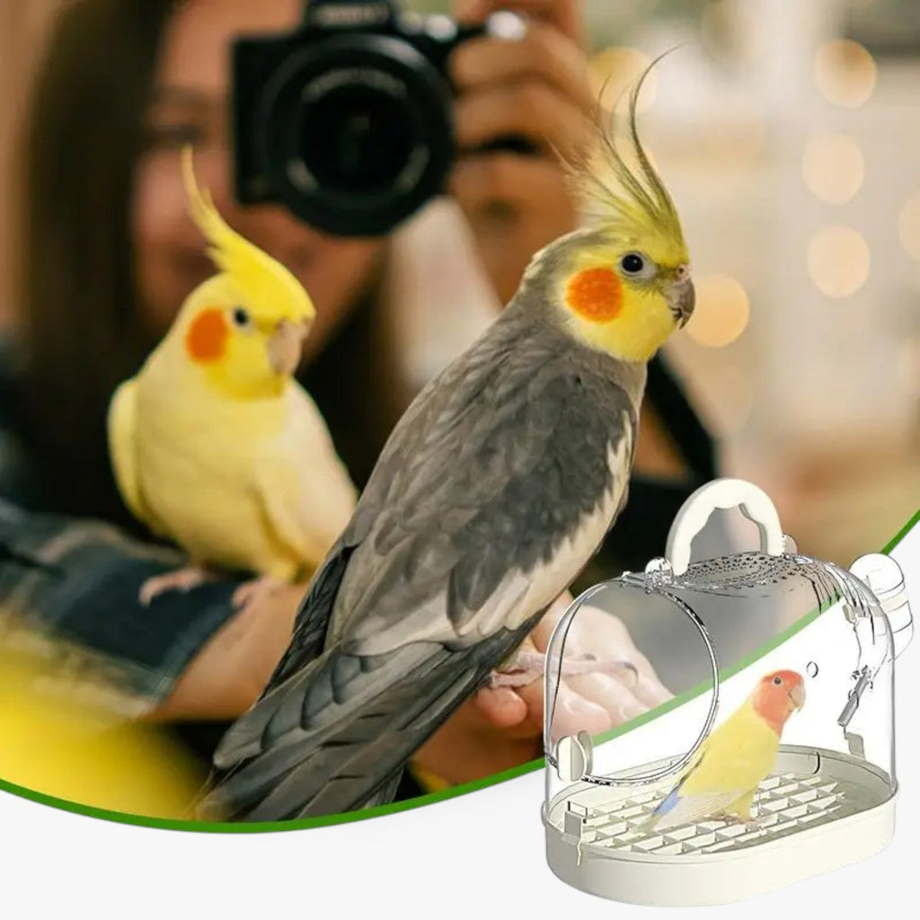 Airy Carry Cage "Featherlight" for Small Pets and Birds