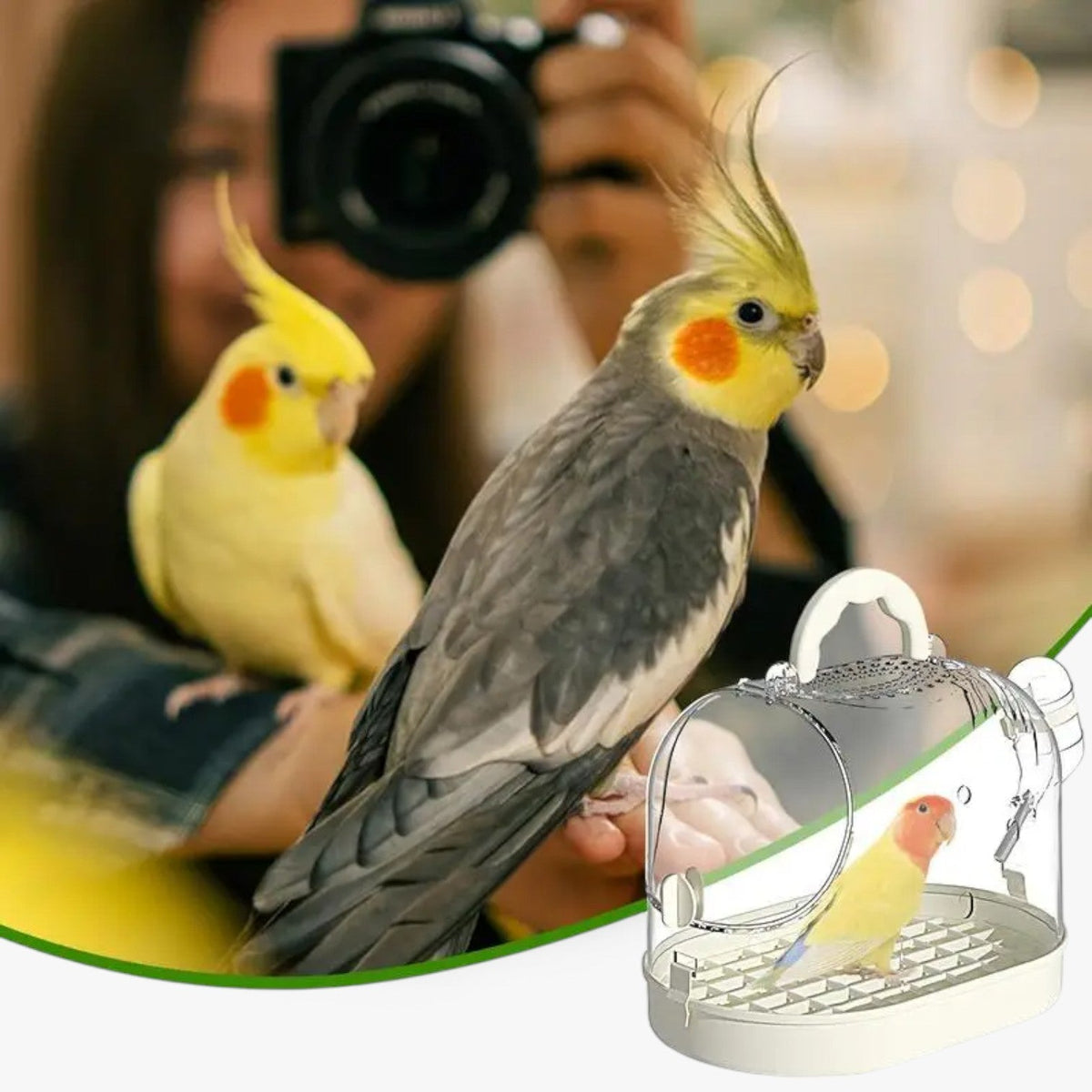 Airy Carry Cage "Featherlight" for Small Pets and Birds