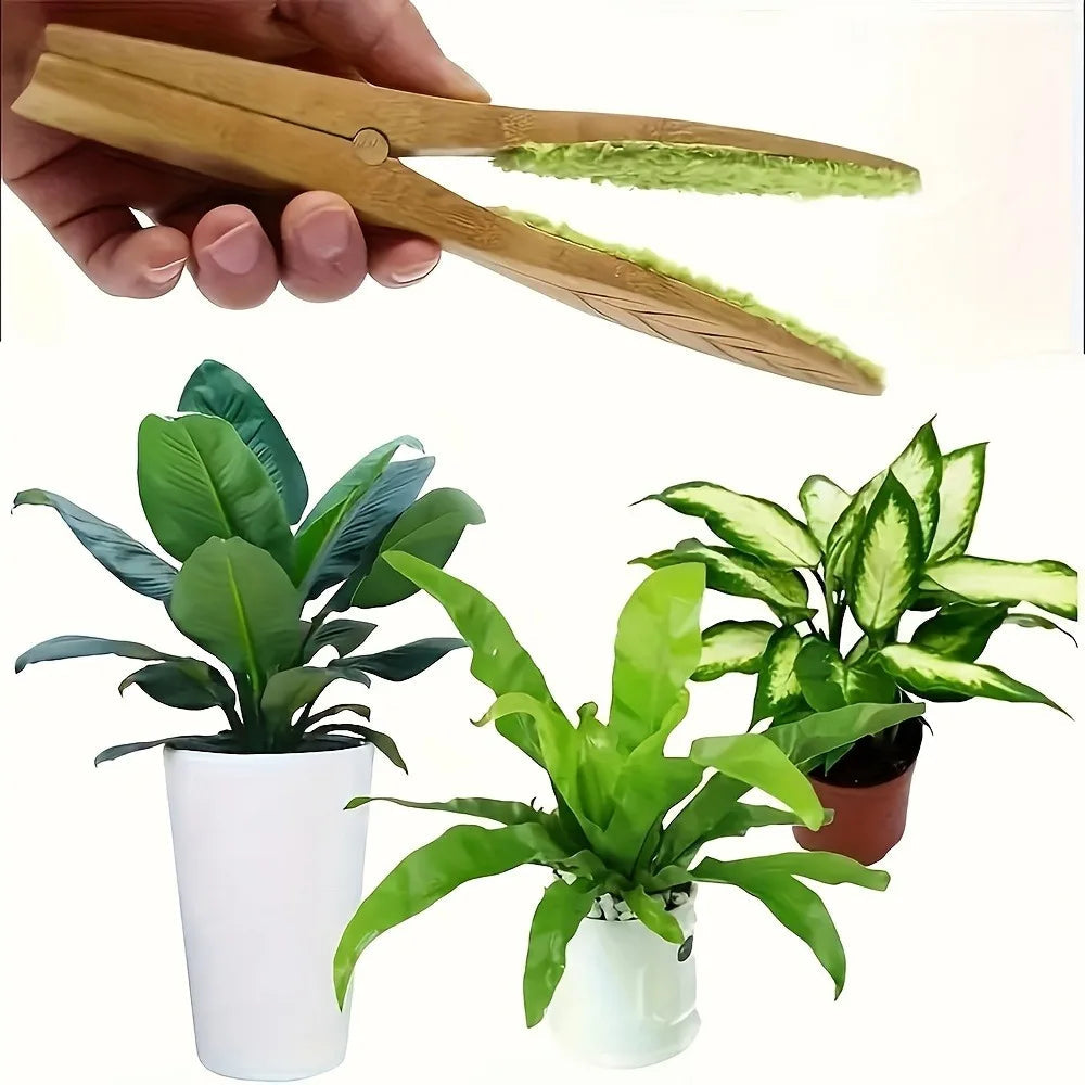 Plant leaf cleaning tongs made of wood for gentle leaf care
