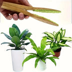 Plant leaf cleaning tongs made of wood for gentle leaf care