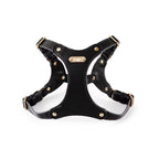 Adjustable Leather Dog Harness with Custom Engraving