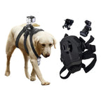 Action-Cam Dog Harness with 360° Perspective