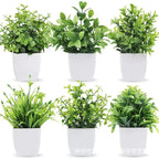 Everleaf Bonsai | Eucalyptus Design | Low Maintenance & Durable | Decorative
