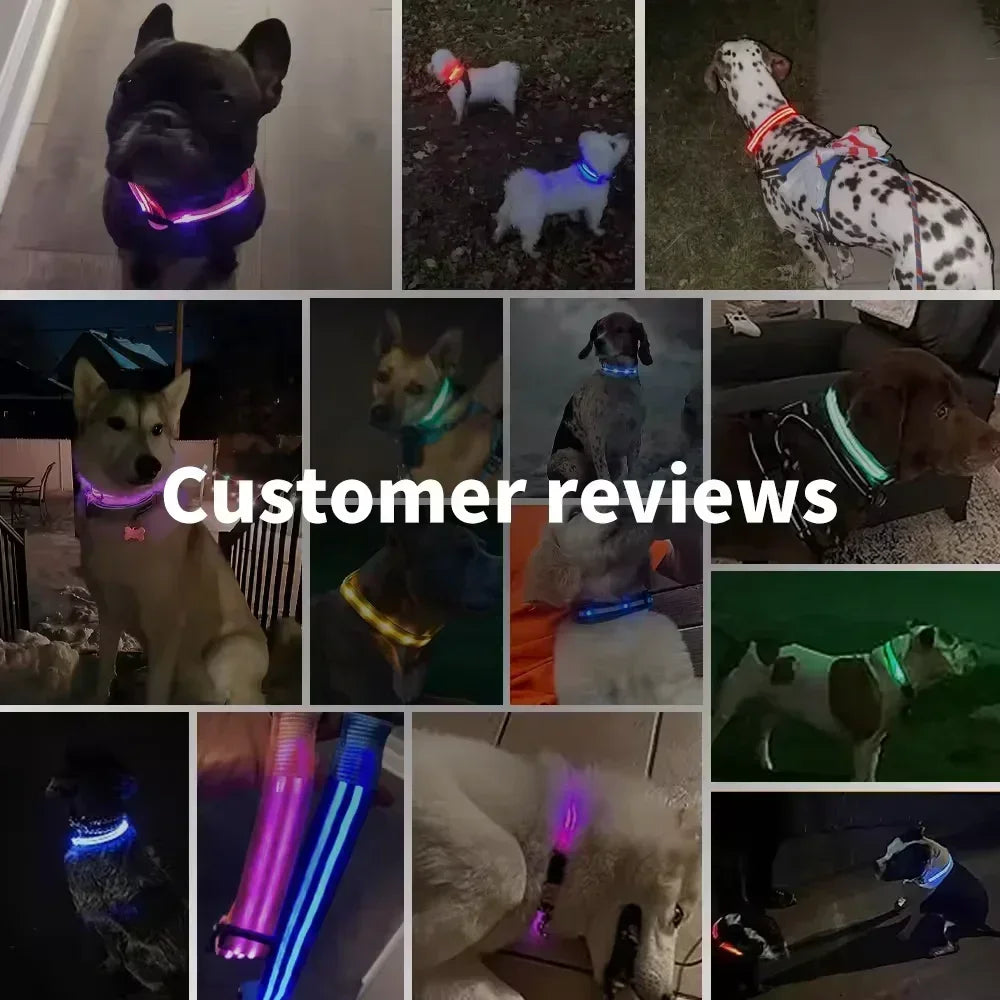 LUXPETS GlowSafe LED Dog Collar | Illuminated & Rechargeable | Adjustable & Waterproof | Anti-Loss at Night