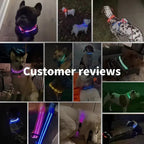 LUXPETS GlowSafe LED Dog Collar | Illuminated & Rechargeable | Adjustable & Waterproof | Anti-Loss at Night