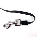 Automatic Leash for Every Dog