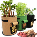GrowMaster Pots – Stylish Grow Pot for Vegetables