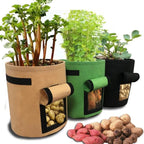 GrowMaster Pots – Stylish Grow Pot for Vegetables