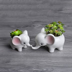 Modern Decorative Elephant Inspired Design