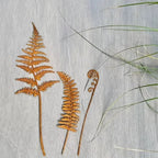 FERROBLATT Rust decoration leaf sculpture | Metal garden stake for outdoors & indoors | Weatherproof & stylish | Autumn decoration for garden & home