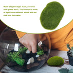 MossAura Floravio | Decorative Moss Stones | Easy Care & Versatile | For Creative Projects