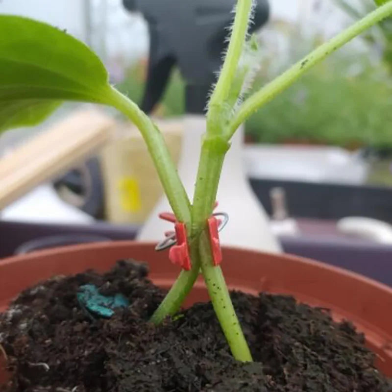 PlanturaClip Plant Clips | Stabilize & Fix | Gentle on the Plant | Versatile Use