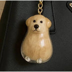 Transparent fur memory tag