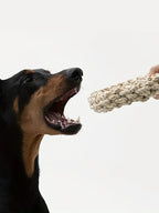 Robust cotton chew ring for dogs