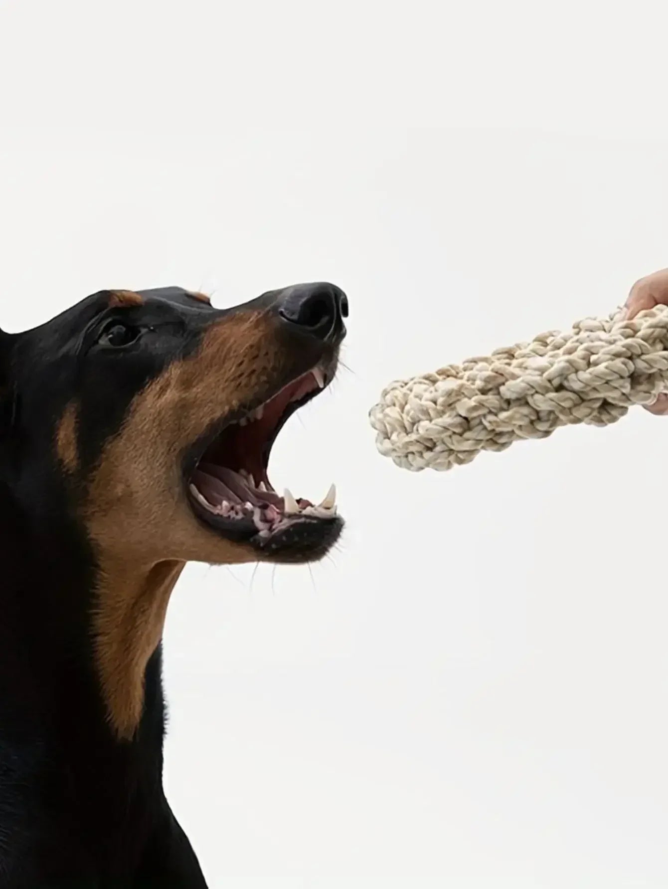 Robust cotton chew ring for dogs