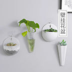 FloataWall Planter | Floating Design | Self-adhesive for Modern Wall Decoration