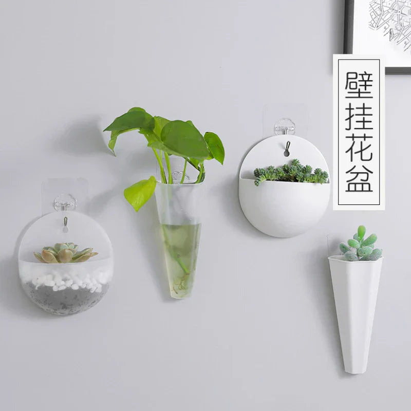 FloataWall Planter | Floating Design | Self-adhesive for Modern Wall Decoration