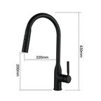Stainless Steel Kitchen Faucet with Pull-Out Sprayer