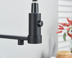 Sandsberg Black Filter Kitchen Faucet with Dual Outlet – Mixing Tap with Water Filter for Kitchens, Water Treatment and Cleaning