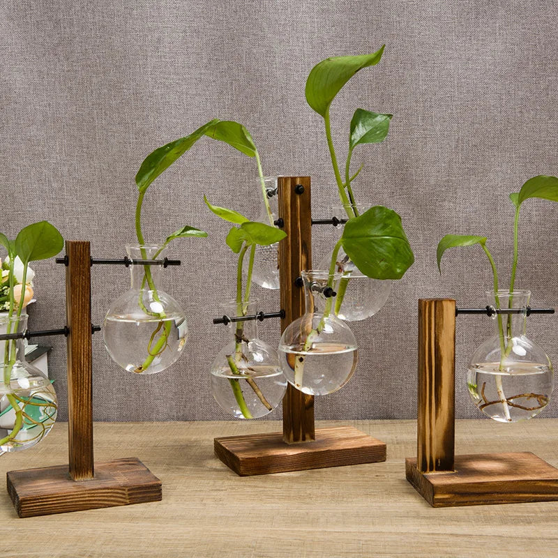 Vasoya Glass Vases | 3-Piece Set with Wooden Frame | Scandinavian & Versatile | For Flowers & Hydroponics