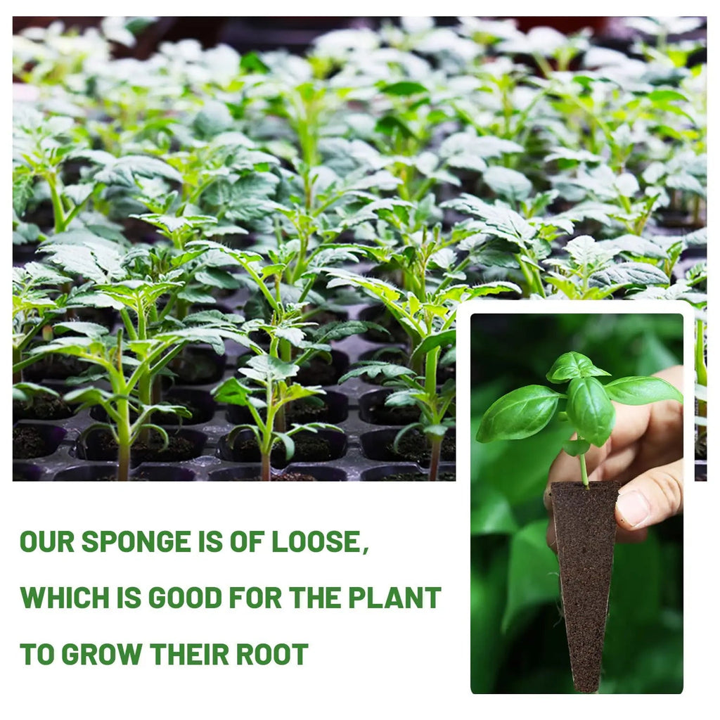 WurzelWunder Planting Sponges 50 Pieces | Replacement Growth Sponges for Hydroponics & Soil | For Herbs, Vegetables & Flowers