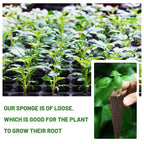 WurzelWunder Planting Sponges 50 Pieces | Replacement Growth Sponges for Hydroponics & Soil | For Herbs, Vegetables & Flowers