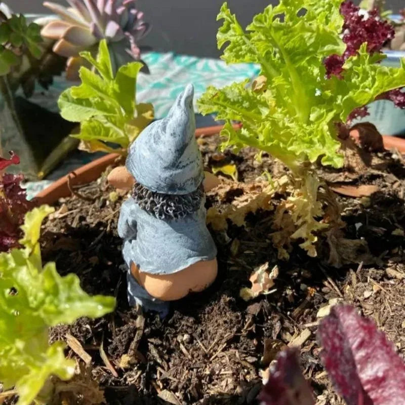 Funny Gnome Figurine Made of Resin for Garden and Lawn
