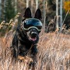 Dog sunglasses with UV protection windproof adjustable