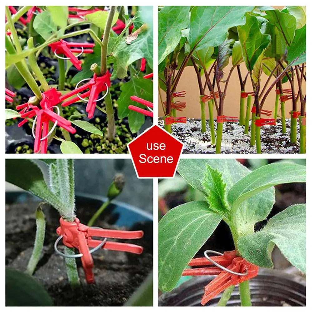 Plastic Refinement Clips for Garden Plants – Ideal for Vegetables and Plant Care