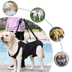 Reha-Dog Harness with Stable Carrying Handle