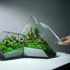 Geometric Glass Moss Planter Terrarium Vase