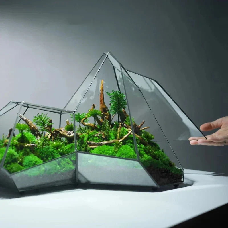 Geometric Glass Moss Planter Terrarium Vase