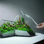 Geometric Glass Moss Planter Terrarium Vase