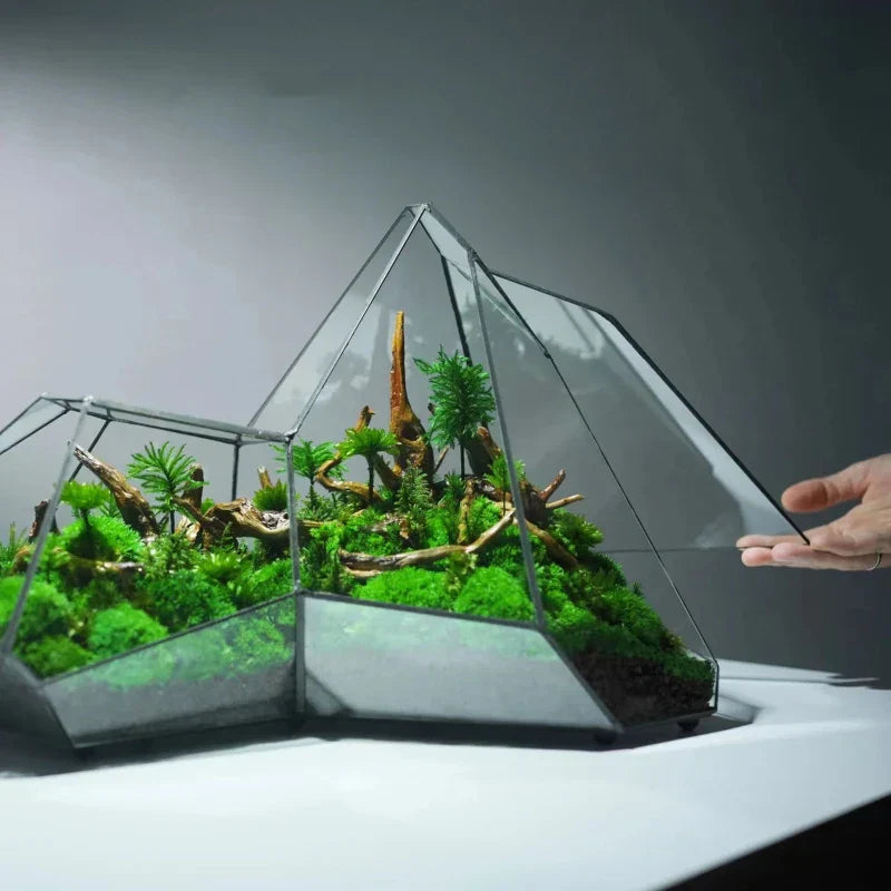 Geometric Glass Moss Planter Terrarium Vase