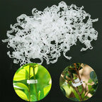 Plastic clamps for plant support | Grafting and fixing tool!