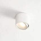 Adjustable LED Flush Mount Ceiling Spotlight