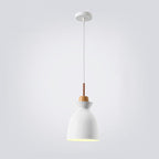 AuroraLite Nordic Pendant Light | Metal Design | 1-Light | Modern Color Options