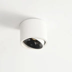 Adjustable LED Flush Mount Ceiling Spotlight