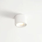 Adjustable LED Flush Mount Ceiling Spotlight