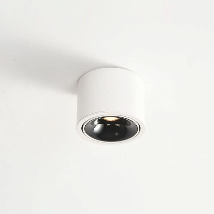 Adjustable LED Flush Mount Ceiling Spotlight