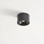 Adjustable LED Flush Mount Ceiling Spotlight