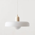 Bauhaus Pendant Light
