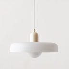 Colored Glass Pendant Lamp - BauLume