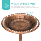 Birdbath for the garden with Fleur-de-Lis decoration