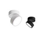 Adjustable LED Ceiling Lamp