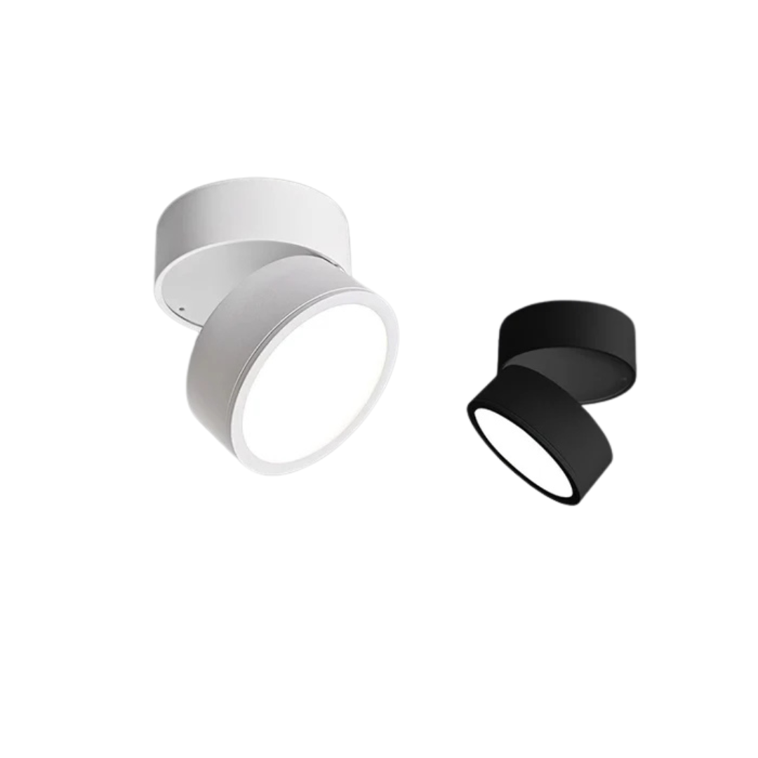 Adjustable LED Ceiling Lamp