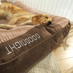 Large scratch-resistant dog bed with orthopedic spinal support